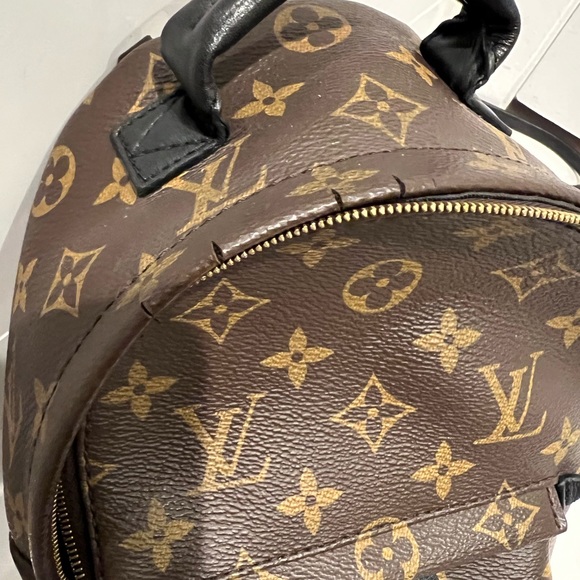 ✨Louis Vuitton LV Palm Springs Mini Monogram Backpack - Picture 10 of 10
